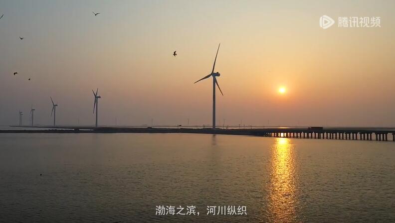 2020���˲�Ʊ������չ��������Ƶ