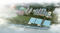 ˫��ֵ���԰�ۺ���