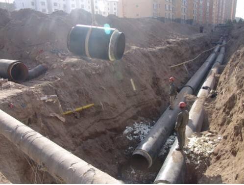 Ϋ����������˾Ϋ����2019����������