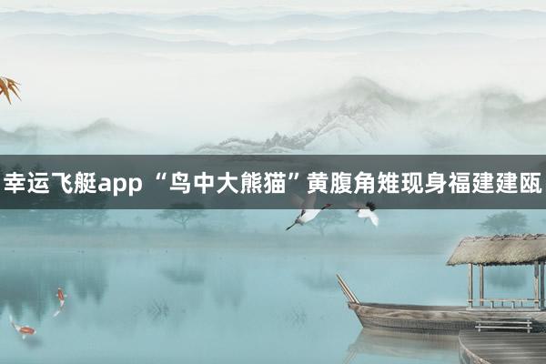 幸运飞艇app “鸟中大熊猫”黄腹角雉现身福建建瓯