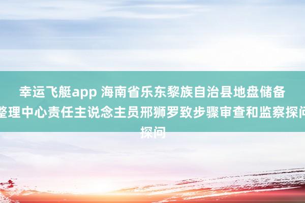 幸运飞艇app 海南省乐东黎族自治县地盘储备整理中心责任主说念主员邢狮罗致步骤审查和监察探问