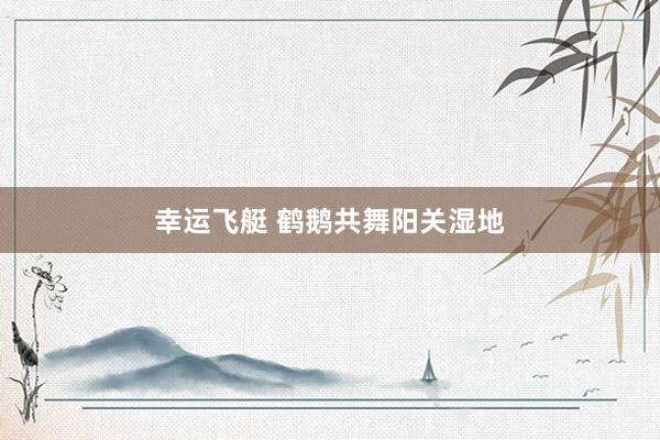幸运飞艇 鹤鹅共舞阳关湿地