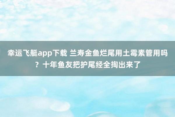 幸运飞艇app下载 兰寿金鱼烂尾用土霉素管用吗？十年鱼友把护尾经全掏出来了