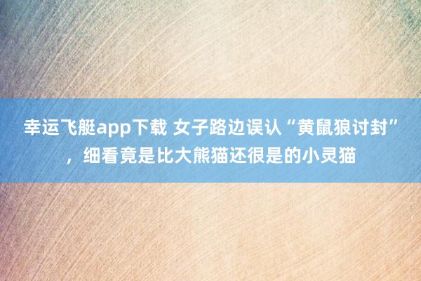 幸运飞艇app下载 女子路边误认“黄鼠狼讨封”，细看竟是比大熊猫还很是的小灵猫