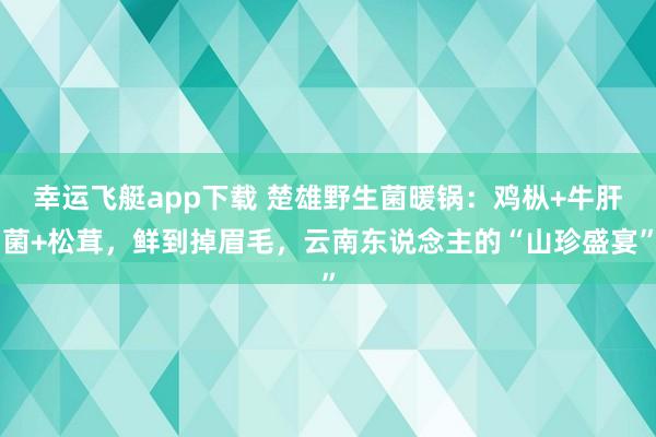 幸运飞艇app下载 楚雄野生菌暖锅：鸡枞+牛肝菌+松茸，鲜到掉眉毛，云南东说念主的“山珍盛宴”