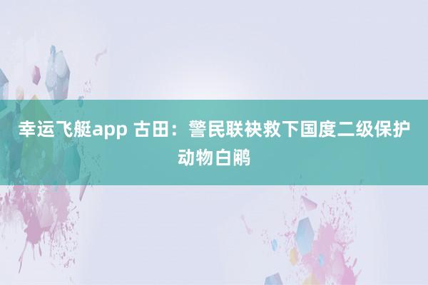幸运飞艇app 古田：警民联袂救下国度二级保护动物白鹇