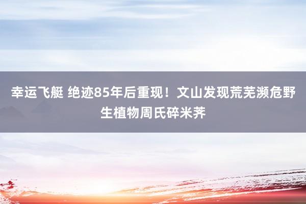 幸运飞艇 绝迹85年后重现！文山发现荒芜濒危野生植物周氏碎米荠