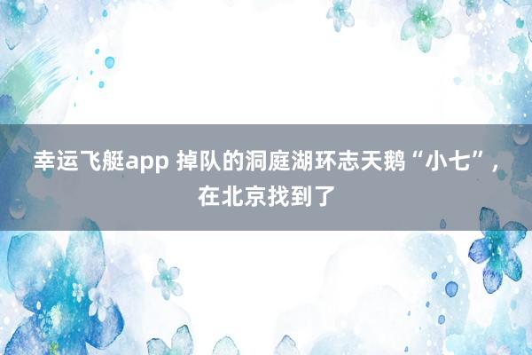 幸运飞艇app 掉队的洞庭湖环志天鹅“小七”，在北京找到了