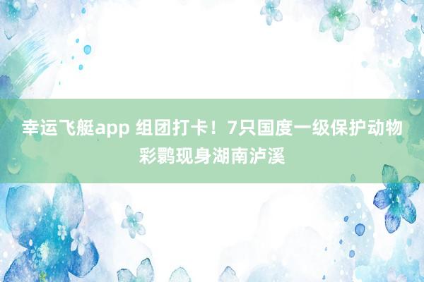 幸运飞艇app 组团打卡！7只国度一级保护动物彩鹮现身湖南泸溪